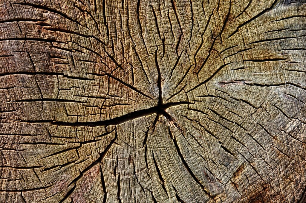 wood, chopped, cut-3312216.jpg